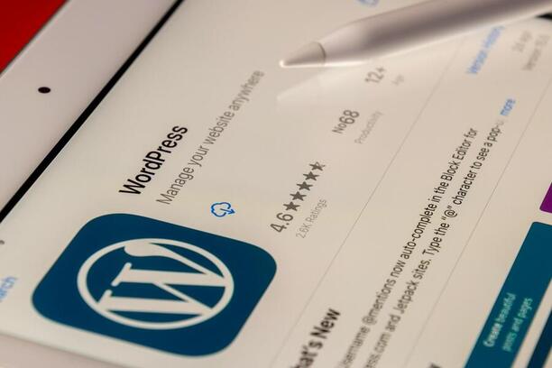 Slabinou bývá WordPress
